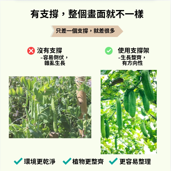 🌿植栽支撐架｜園藝用鋼管綠竹